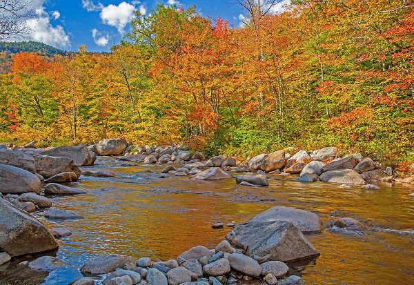 Gulin, Sylvia 아티스트의 USA-New Hampshire-White Mountains National Forest and Swift River along Highway 112 in Autumn from 작품입니다.